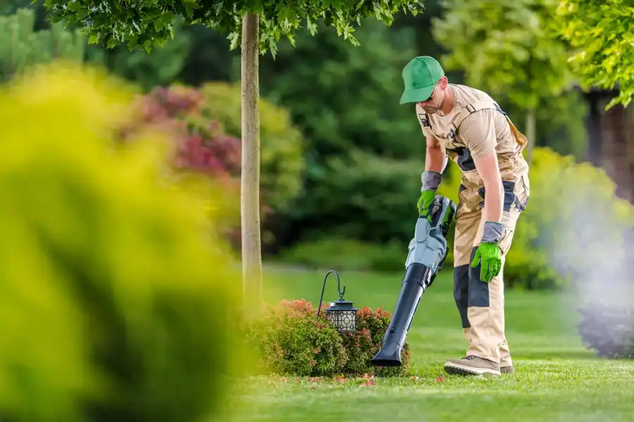 How To Clean A Backyard Clovis, CA