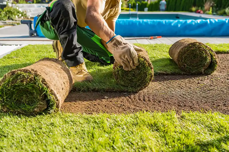 How long after installing sod can you walk on it in Clovis, CA