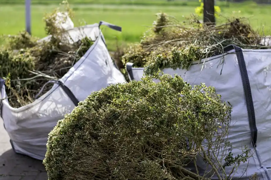 How to clear a yard full of weeds in Clovis, CA