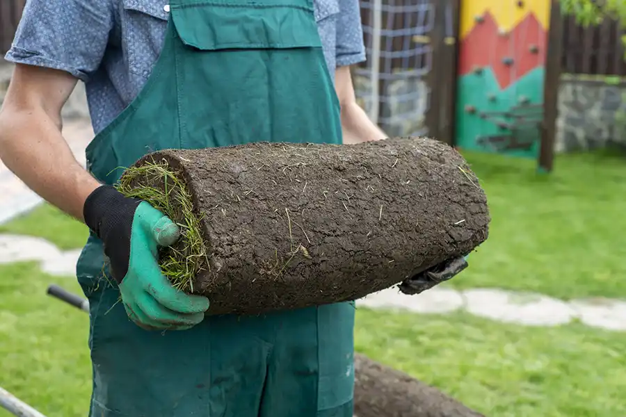 How to lay sod over existing lawn Clovis, CA