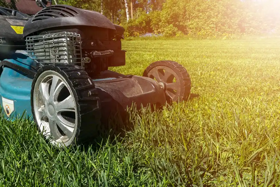 How to mow a lawn in Clovis, CA