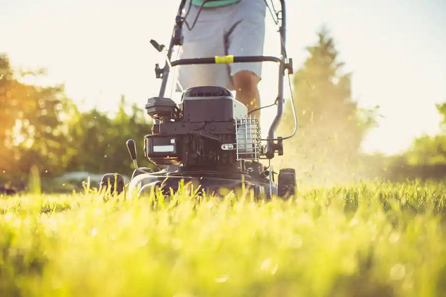 How to mow a lawn Clovis, CA