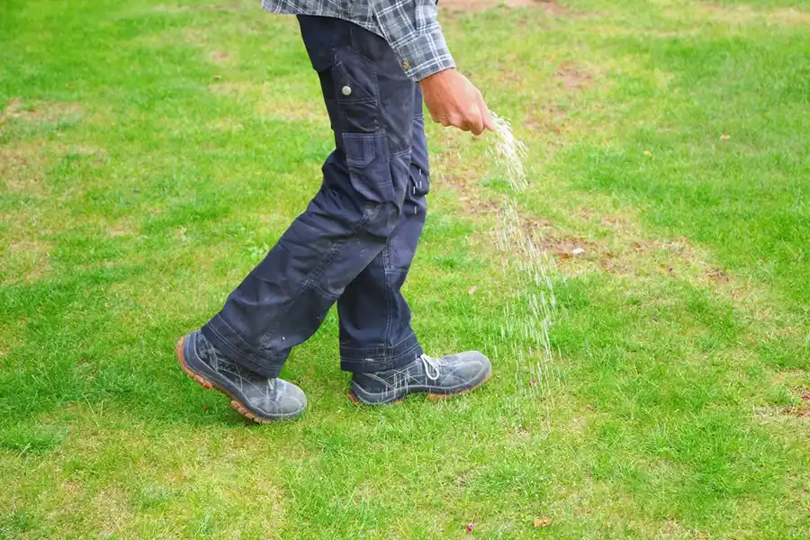 Efficient Lawn Fertilization in Clovis, CA