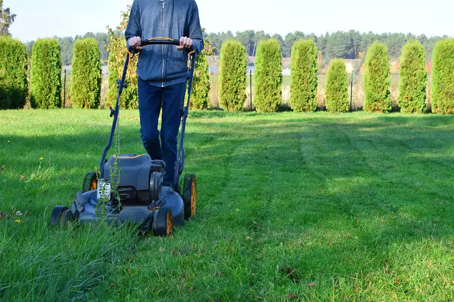 Efficient Lawn Mowing in Clovis, CA