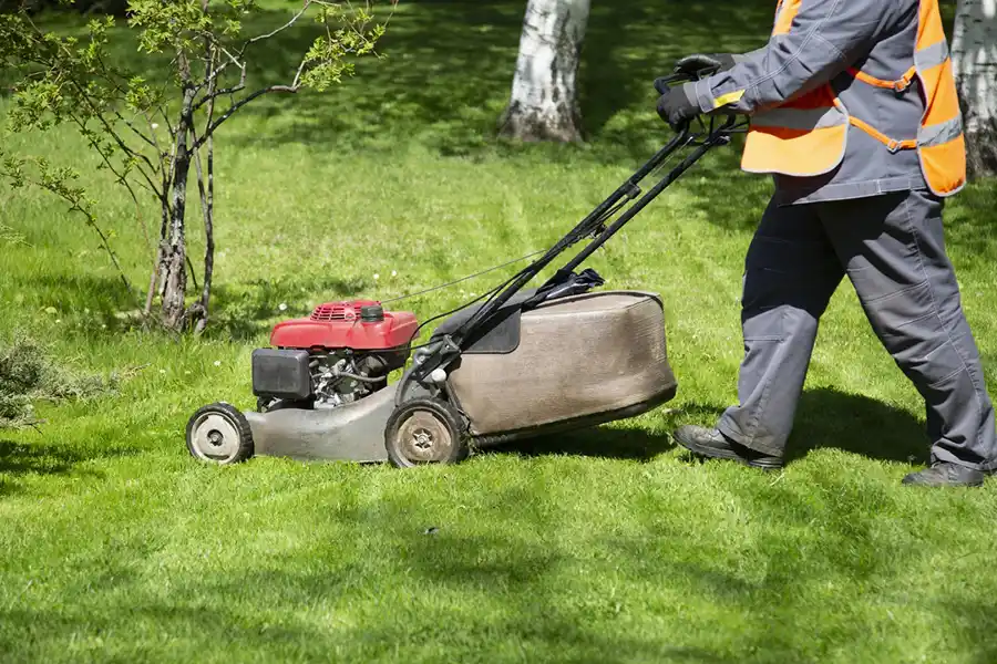 Reliable Lawn Mowing in Clovis, CA