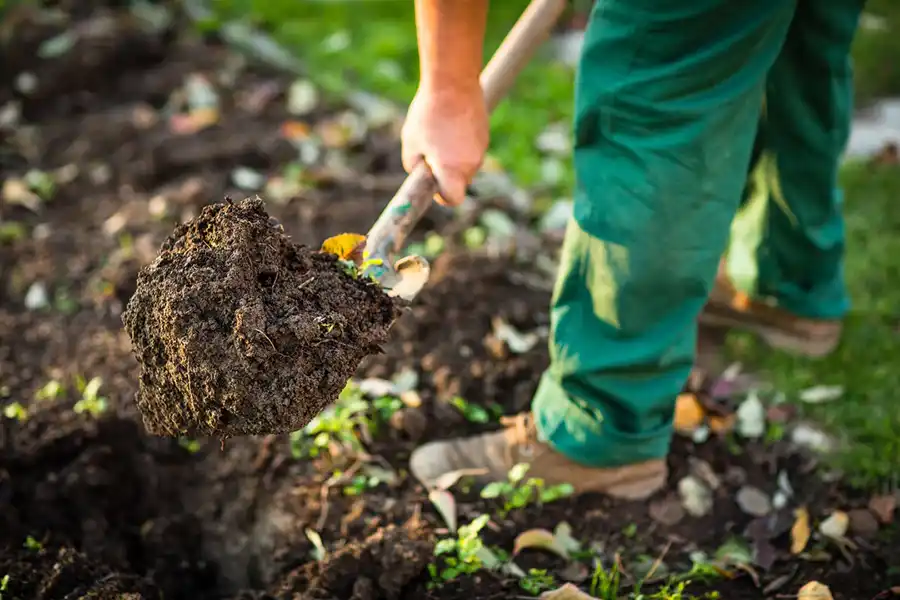 Reliable Mulching in Clovis, CA