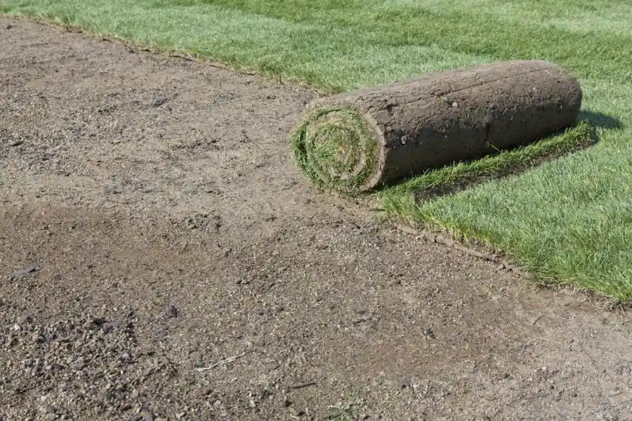 Efficient Sod Installation in Clovis, CA