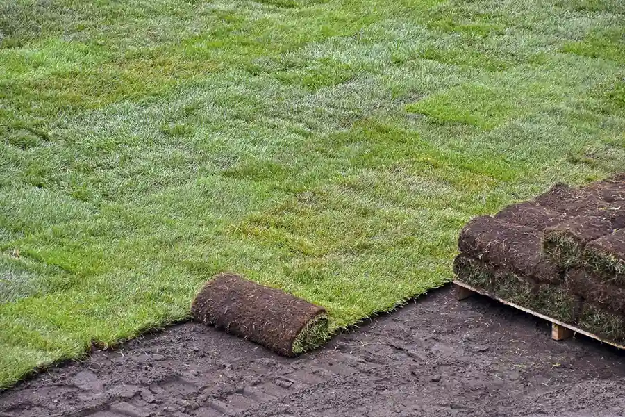 Best Sod Installation in Clovis, CA