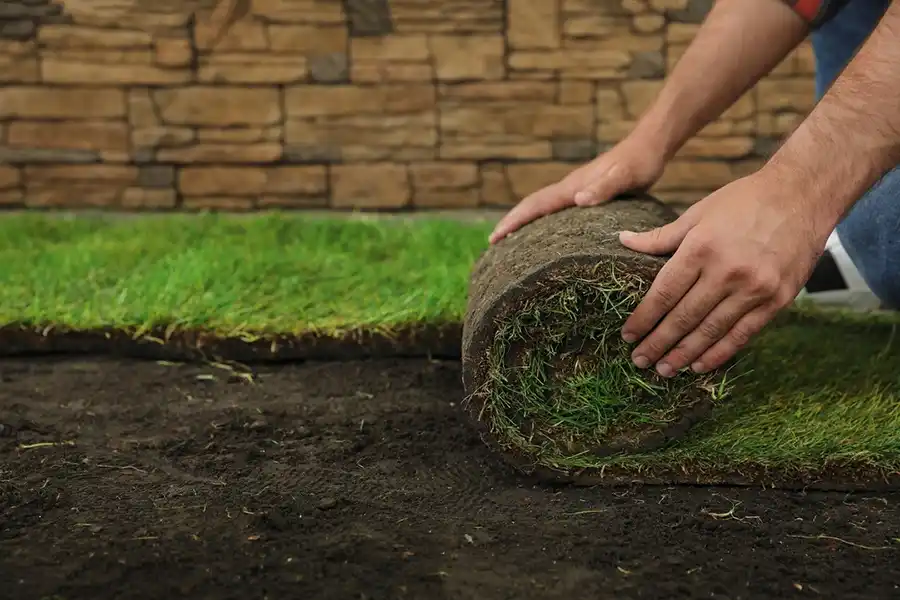 Reliable Sod Installation in Clovis, CA