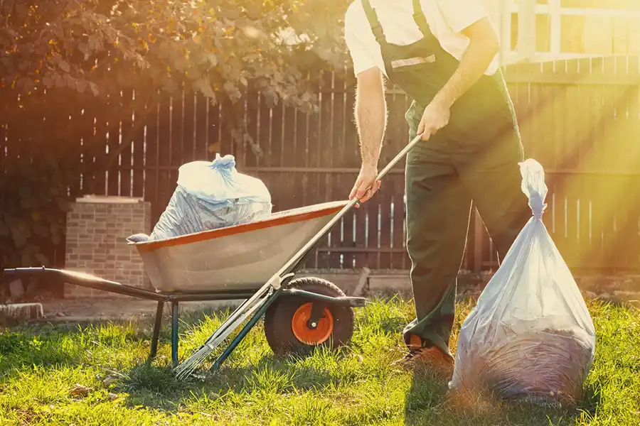 Best Yard cleanup in Clovis, CA